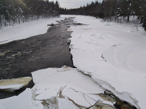 Hiking around Rovaniemi vikaköngäs