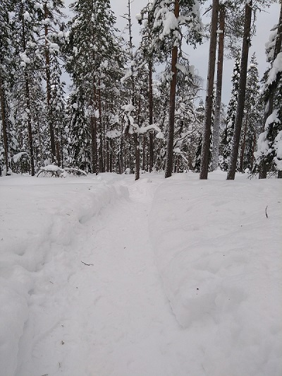 Photo des chemins de randonnées à Rovaniemi. Secteur autour de Vikaköngäs prise en 2018