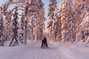 Snowmobile safari rovaniemi