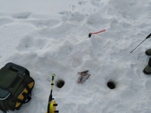 Les bons plans peche sur glace à rovaniemi pêche blanche