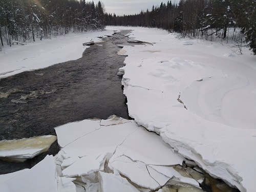 Randonnées autour de Rovaniei en hiver