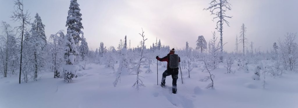 Guide Français en Laponie