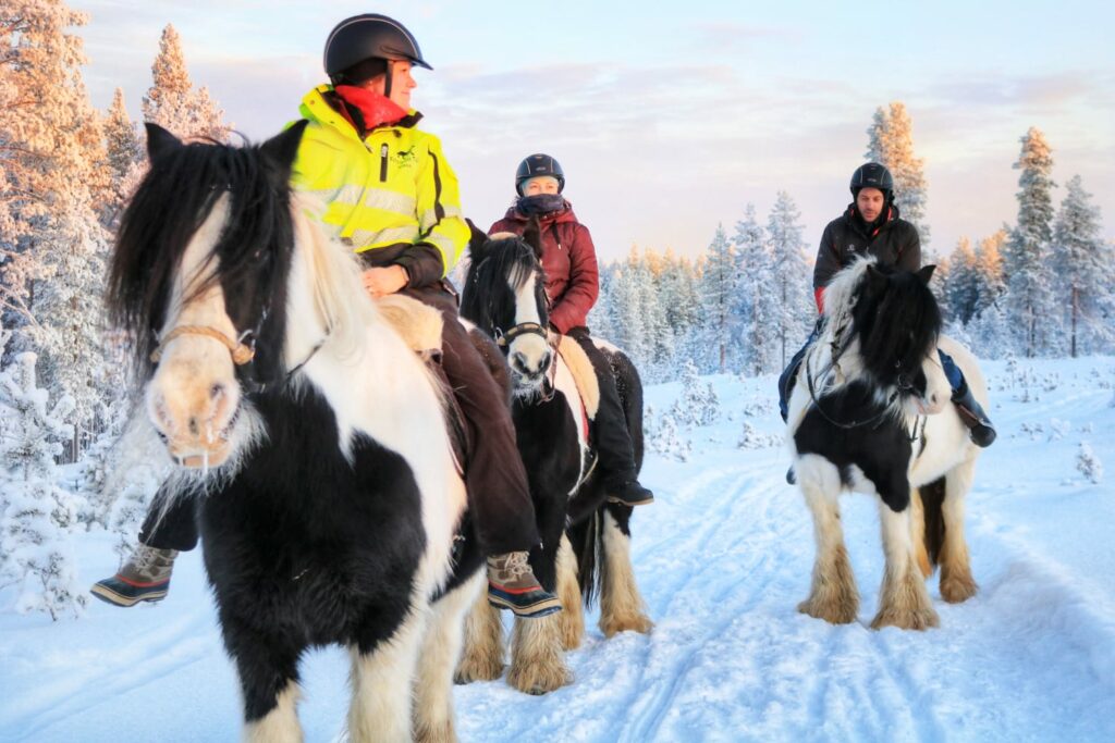 Horse riding in the snow