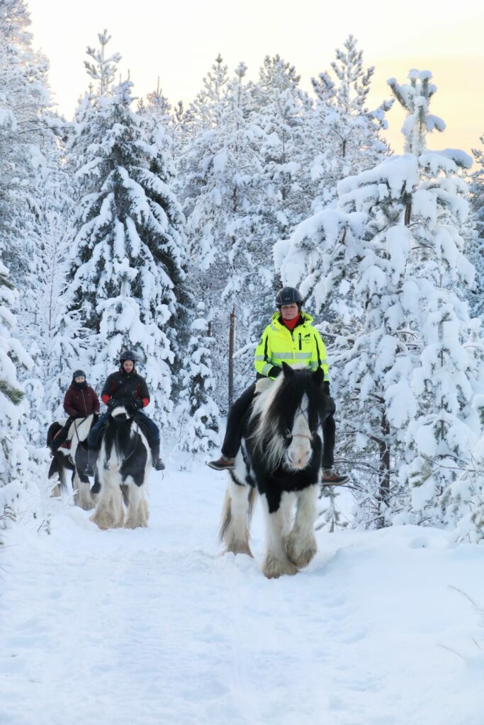 Horseback riding in Lapland